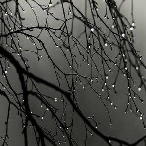 Meet your Posher, Caylan